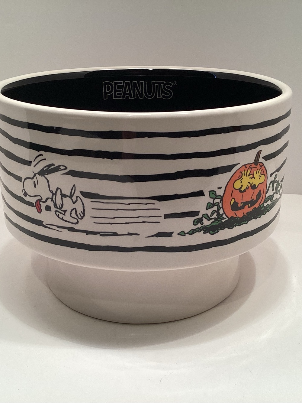 Rae Dunn Black & White Peanuts Snoopy Pumpkin Ceramic Dog Bowl